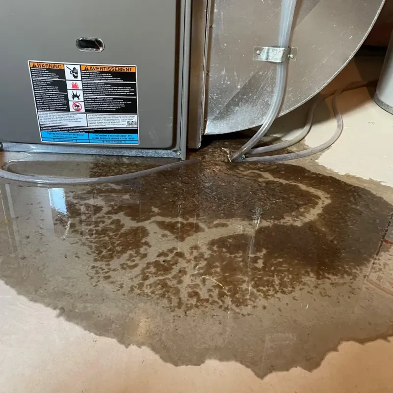 Appliance Leak Cleanup in Sedona, AZ