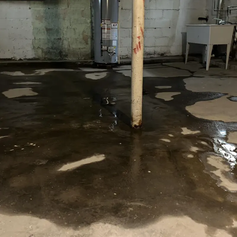Emergency Water Extraction And Removal in Sedona, AZ